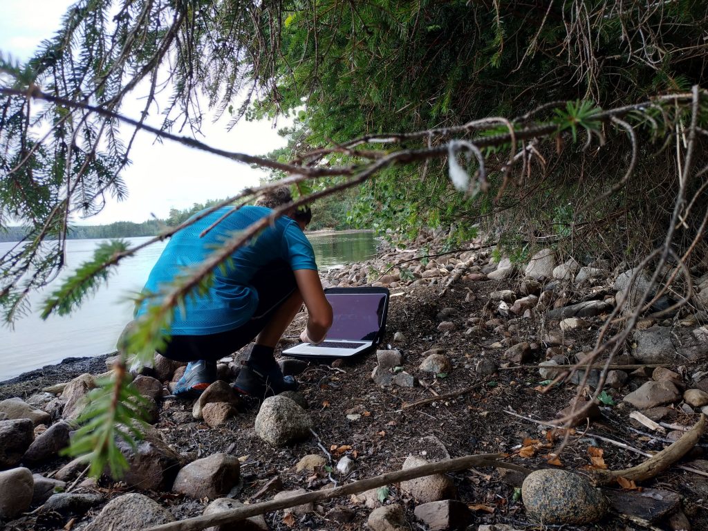 Programmieren im Wald