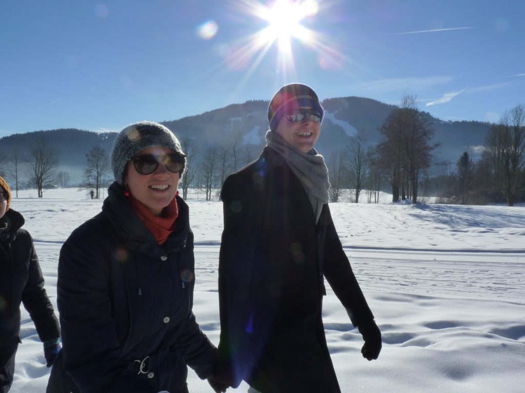 codefüchse im Schnee