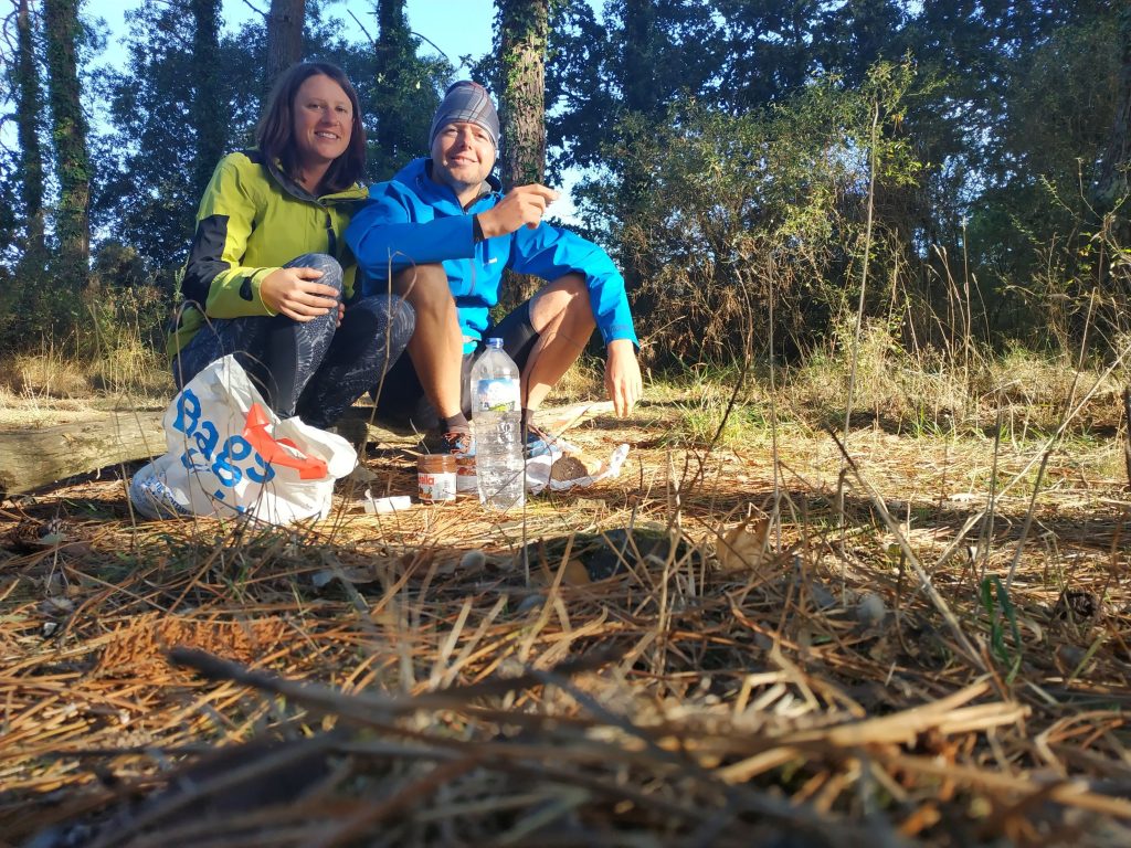 codefüchse im Wald